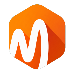 Multisoft Indonesia